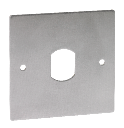 PBP19_TL