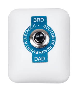 DADBRD